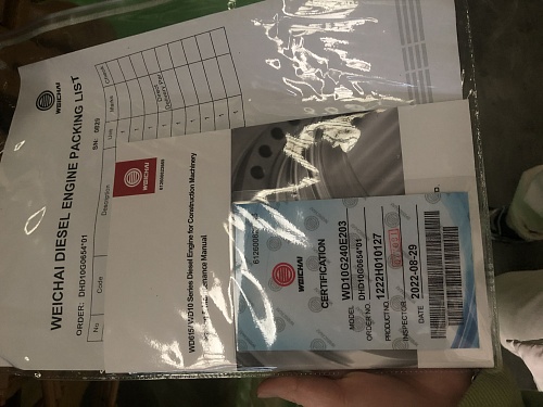 Двигатель WD10G240E203 Двигатель WD10G240E203